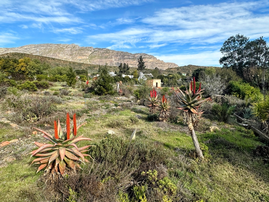 0 Bedroom Property for Sale in Barrydale Western Cape